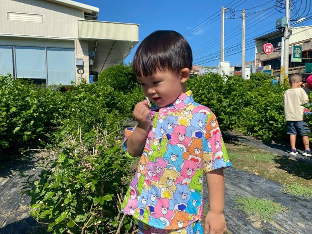 有聞到茉莉花香嗎？