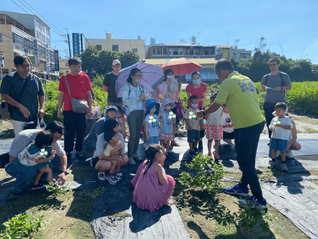 介紹茉莉花小常識